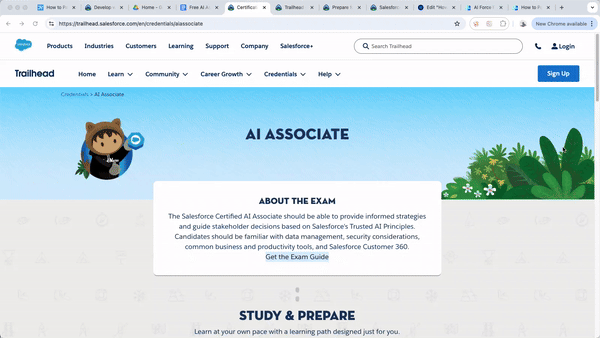 How to pass the AI Associate Exam on the first try