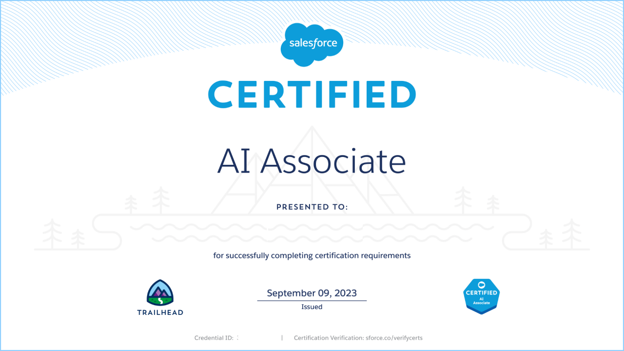 AI Associate Certification Experience